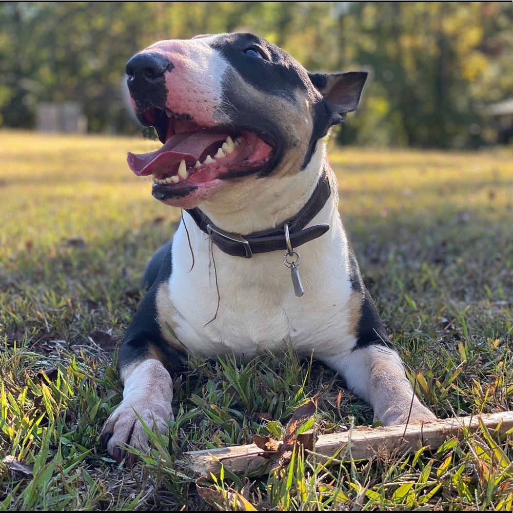 Meet your Posher, Christian